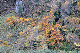 image0240