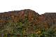 image0243
