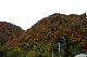 image0244