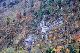 image0247
