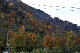 image0249