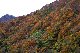 image0250