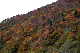 image0251