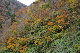 image0254