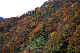 image0255
