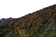 image0257