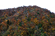 image0259