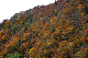 image0261