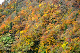 image0264