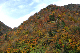 image0266