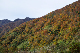 image0267