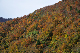 image0268