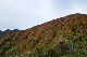 image0269