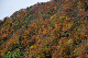 image0270