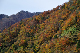 image0271