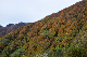 image0272