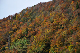 image0273