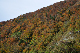 image0274
