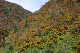 image0275