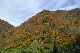 image0277