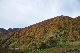 image0278