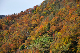 image0279