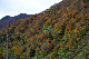 image0281