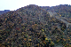 image0298