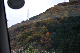 image0299