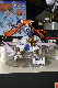 image0243