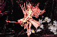 image0224