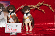 image0246
