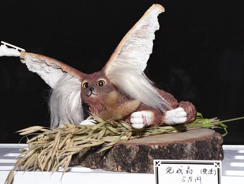 image0064