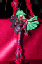 image0242