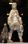 image0248