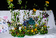 image0158