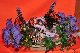 image0171