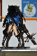 image0392