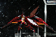 image0319