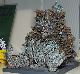 image0224