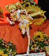 image0264