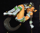 image0096