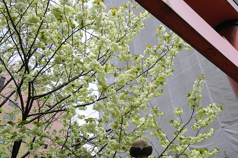 image0101