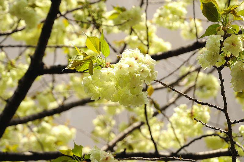 image0126