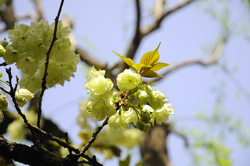 image0128