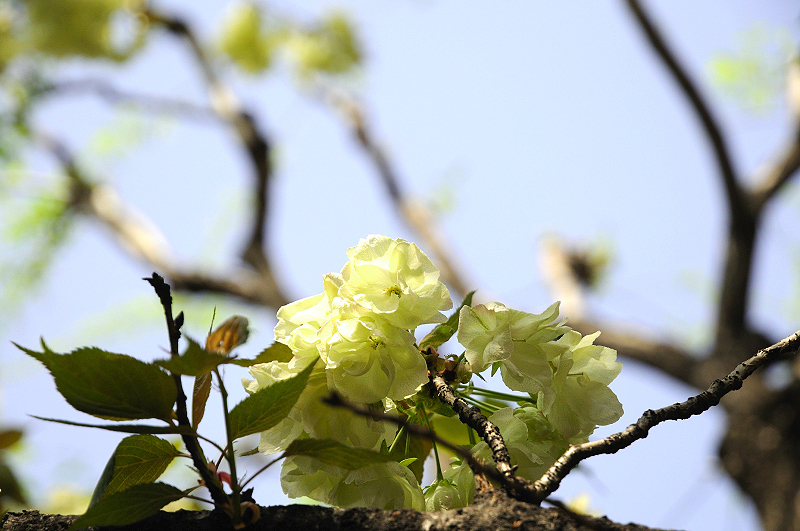 image0130