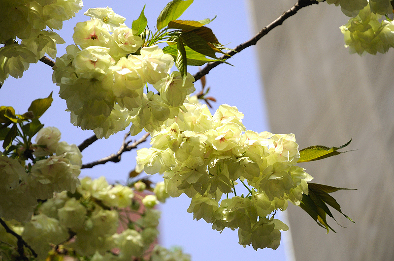 image0134
