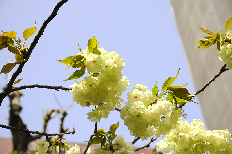image0135
