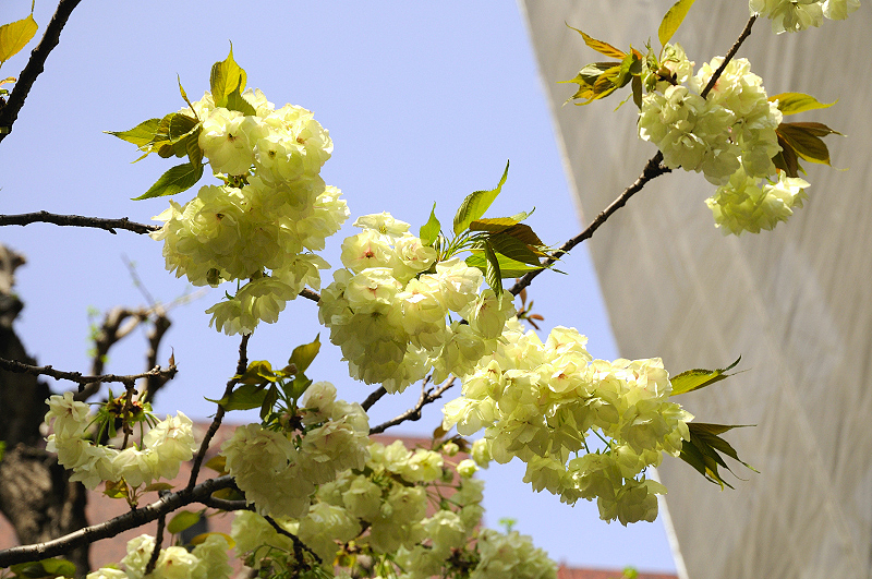 image0136