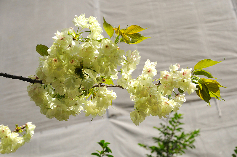 image0137